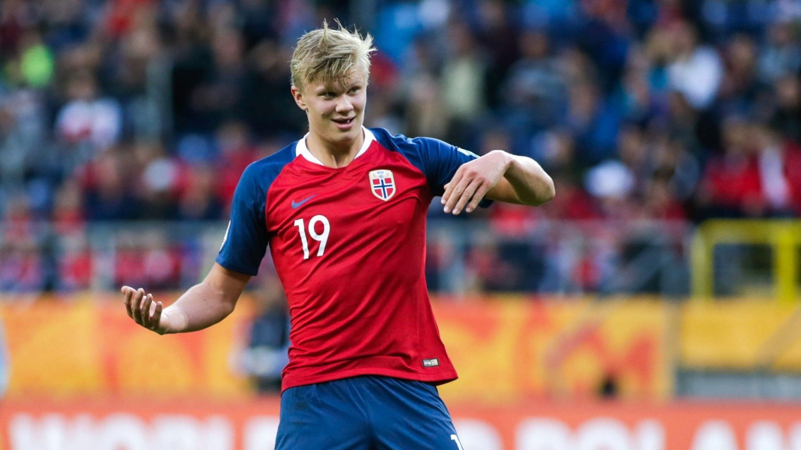 度提供实质 度提供实质